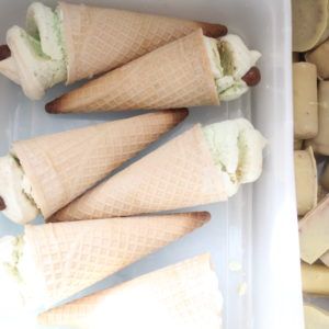 IMG 2652 300x300 - גלריית משלוח מנות :מנת קרב