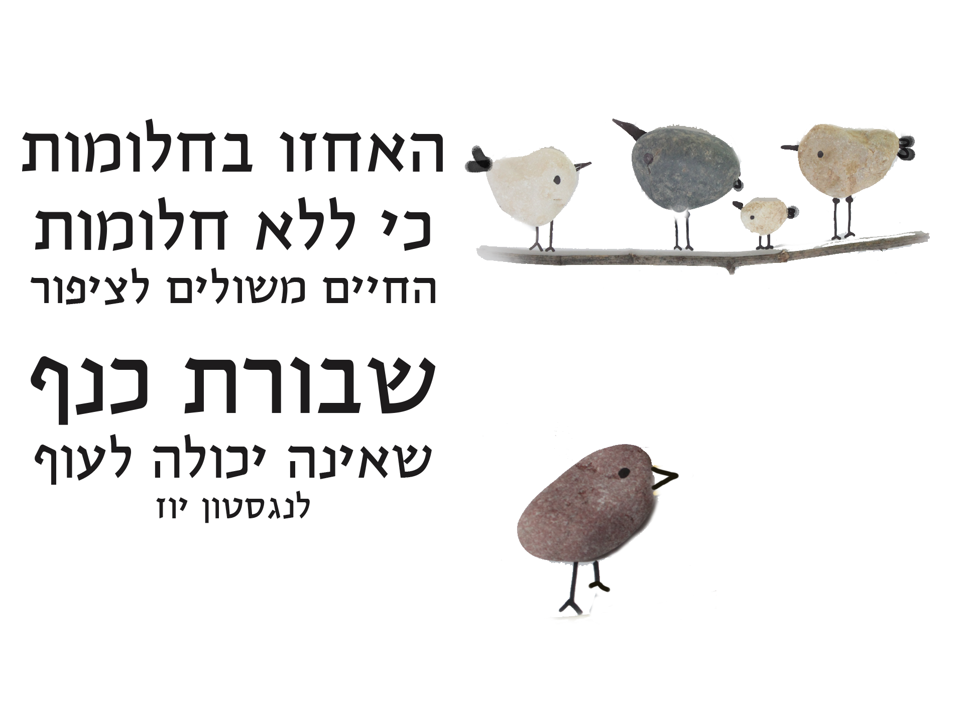 כנף שבורה