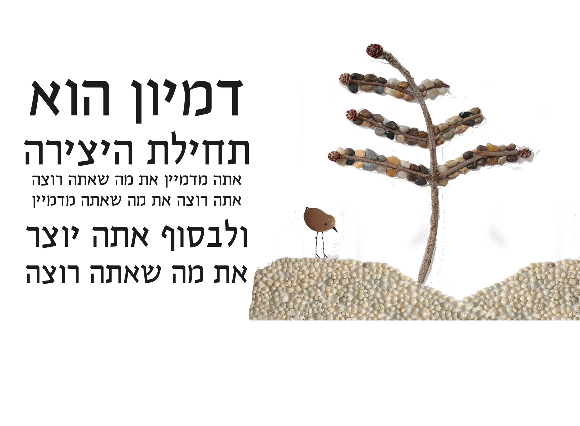 צפור חדשה