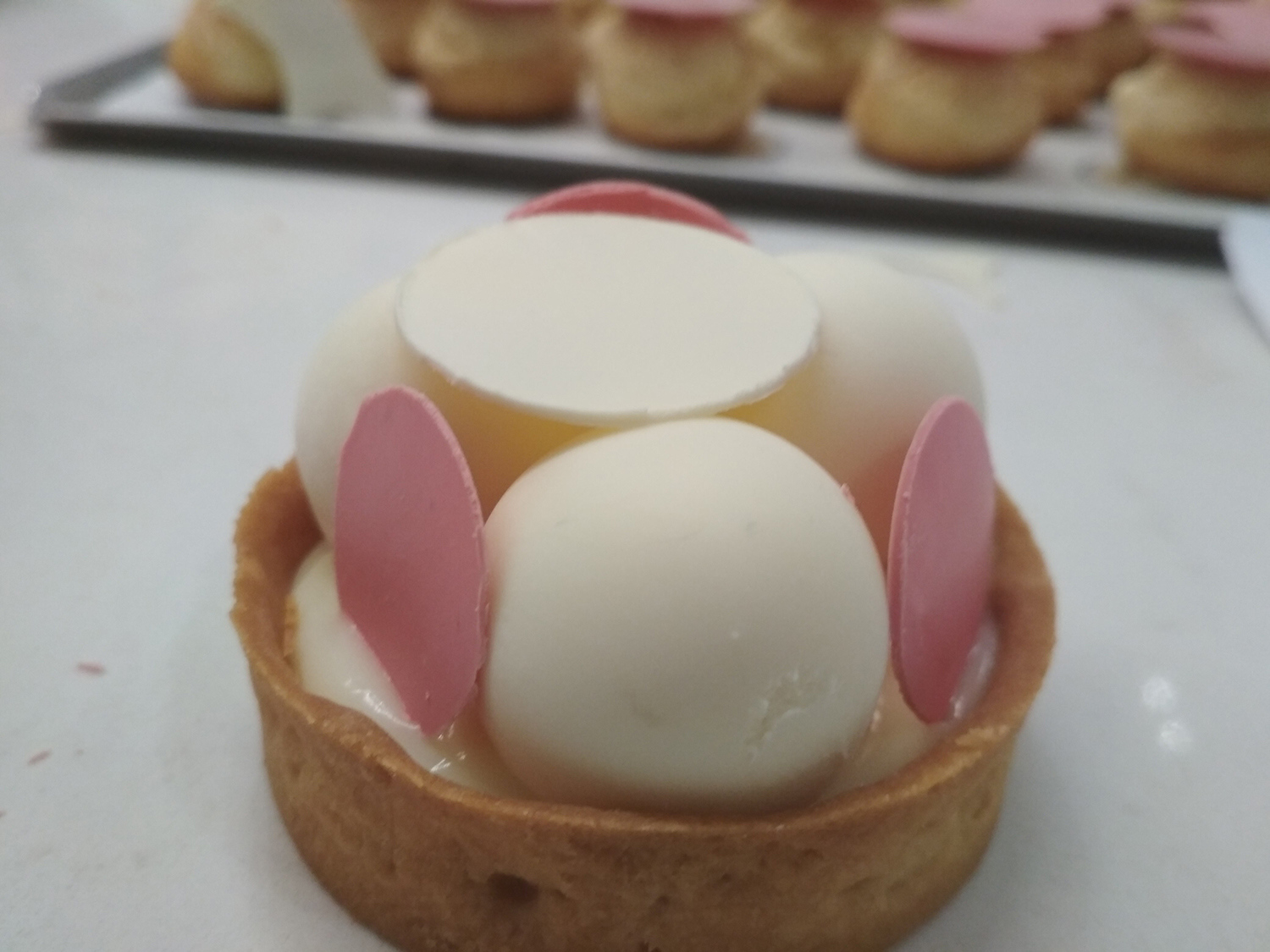 IMG 20180819 212918 1 - טארטלת וניל לבן