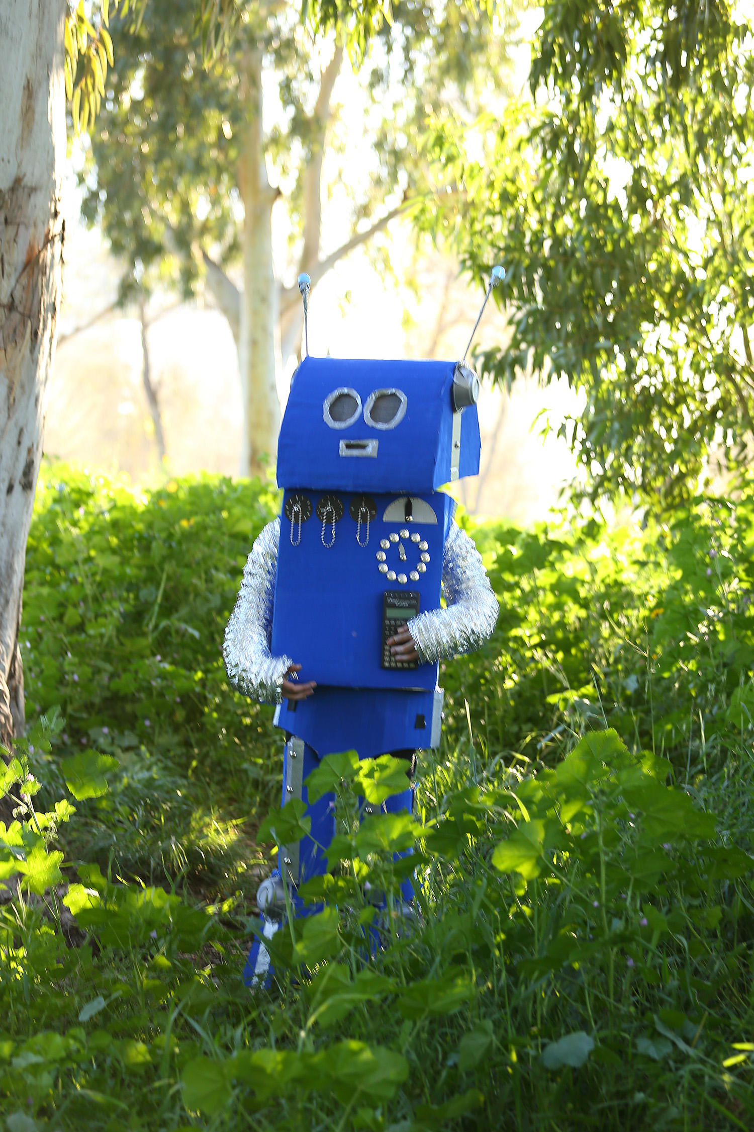 IMG 9905 - הדרכה להכנת רובוט